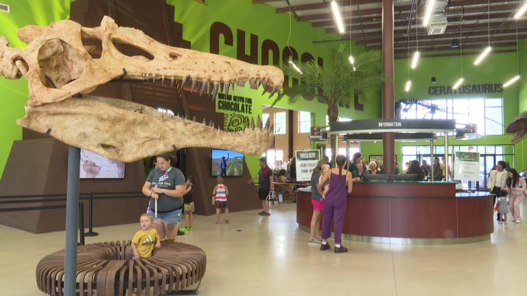 사우스벤드에서 만나는 공룡의 세계 – 인디애나 다이노소어 박물관 (Indiana Dinosaur Museum)